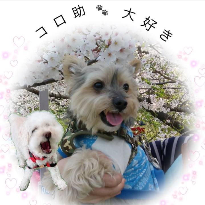 11a68a52 25e4 4b24 9dbe a09ce0b15ea1 1683455771374