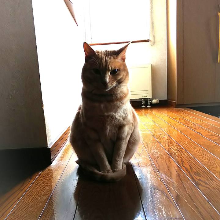 11a6c98a 6912 470d b3d4 a6a86a02bd03 1586047855632