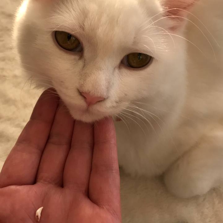 11a6d16f 9c21 41c7 ac8e b09299efff99 1513420429519