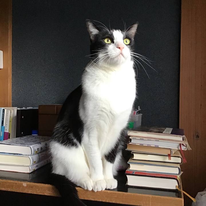 11a71551 9f66 43b7 b708 1a209960bc7e 1735255684179