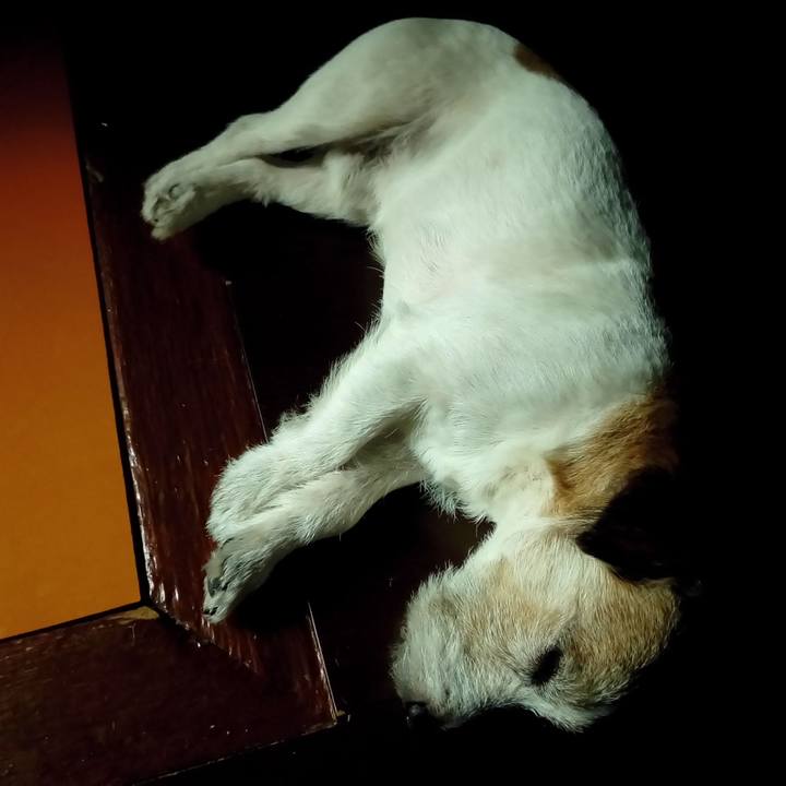 11a73529 176d 4c81 9e54 f6e1205afcbf 1541163747291