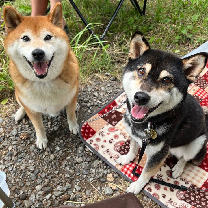 11a76812 4672 47b1 afdc 85a76f78530a 1657409206868