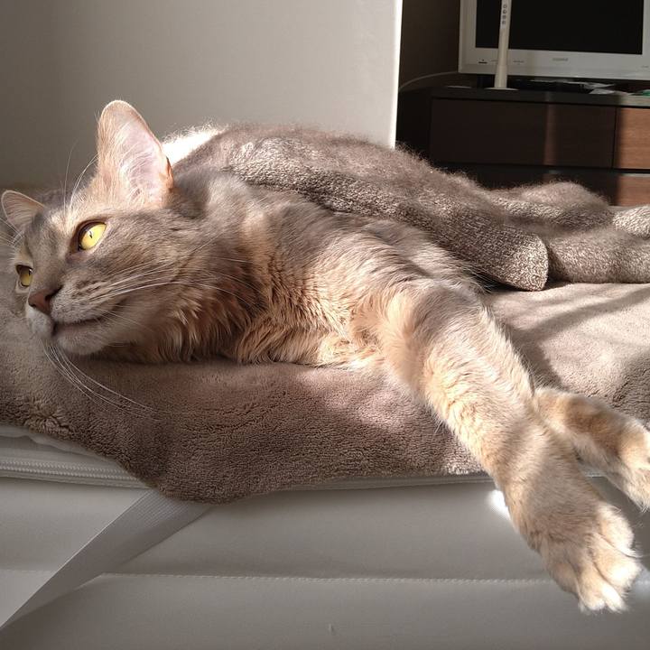 11a76e5b 3175 4dd2 a68e 2f7b65181a5f 1609408975241