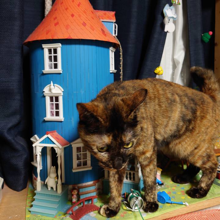 11a78f99 8f4b 4495 b41e 93042eb6c727 1631109868997