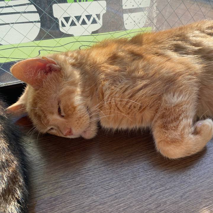 11a79da0 975c 4e47 975d 7daf3e3344dd 1609650152331