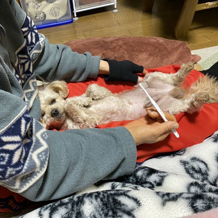 11a7a495 cf6f 4c03 bcb6 8365a1cdc276 1578267685448