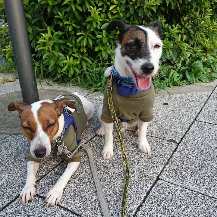 11a7aa47 0a04 489f 8dd1 77f02769465a 1564351022590