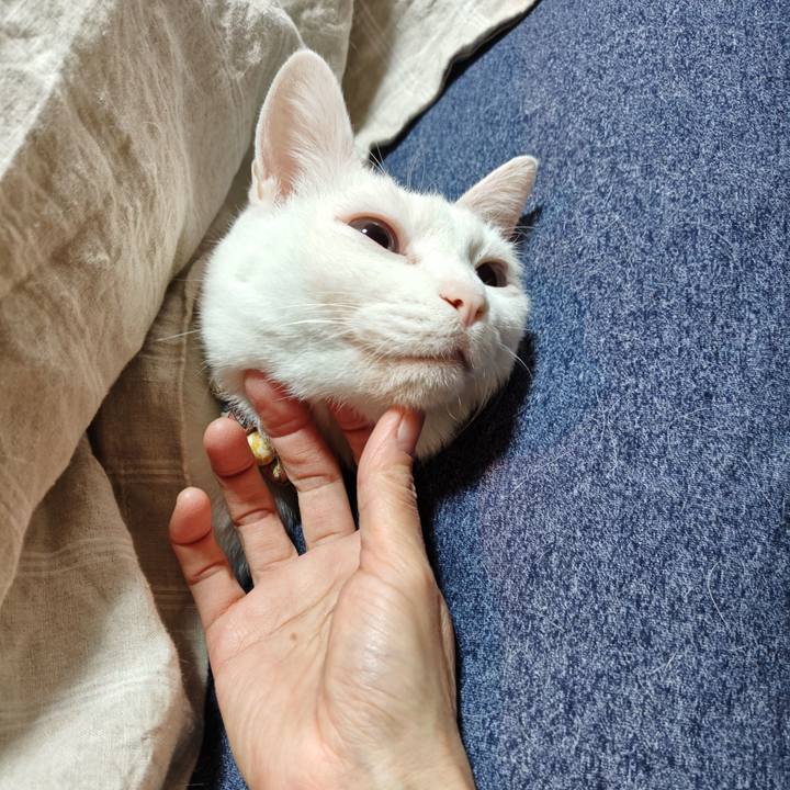 11a7bfe3 4e5d 4d30 9472 49abd140e255 1763420180765