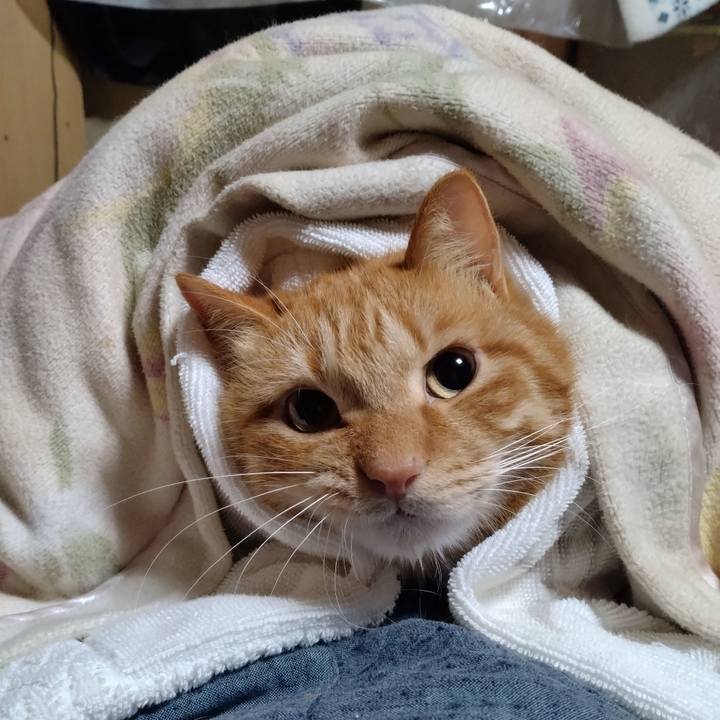 11a7ddd9 84de 4e48 8cc1 deffec220e50 1704370856924