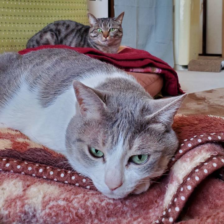 11a83dfb f6cf 4f3a bcec f2e102a145ec 1710138076151