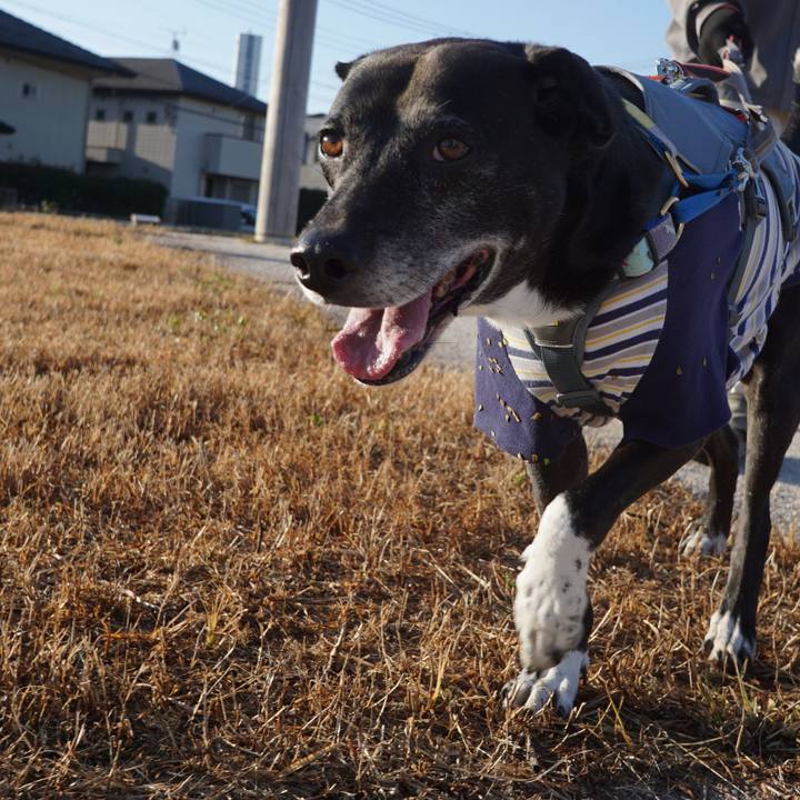 11a8555e 997e 4b6f b535 26653ec3ed3a 1764463543232