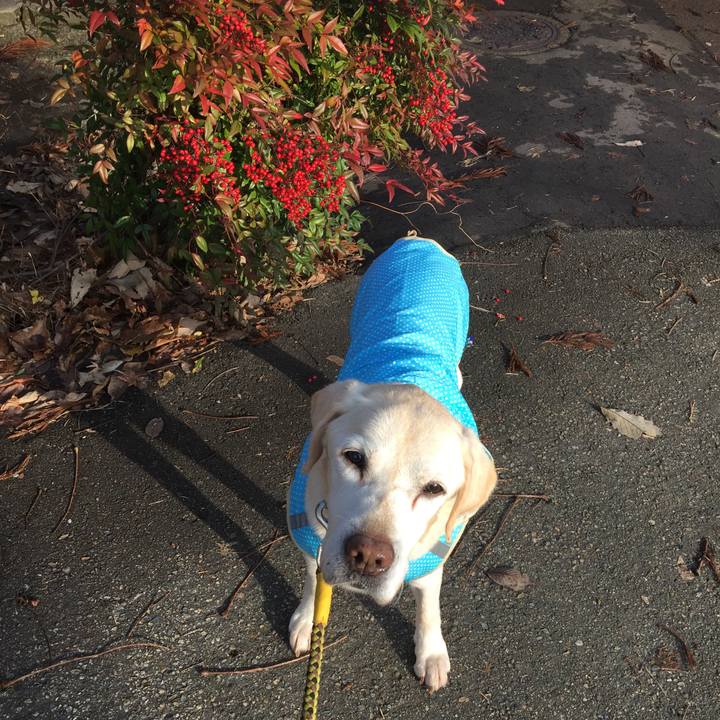 11a886d9 40ff 4d94 88e8 5e2ee90c05e2 1613907800549