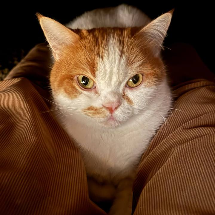 11a8f85e 3472 4be1 a6d8 ffccc2da5b12 1766927956269