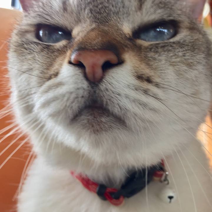 11a91003 fbba 49ec 892b 455841dd6d7f 1559194411305