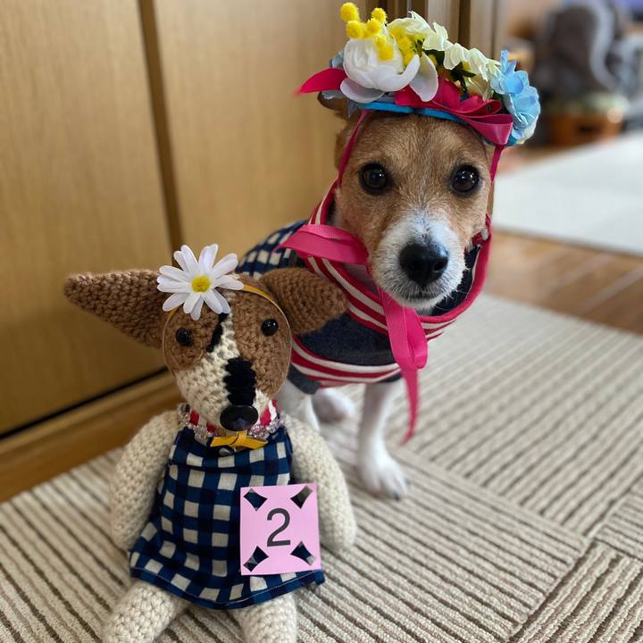 11a96124 305a 4d96 8ca4 7f659243df7f 1599956890228