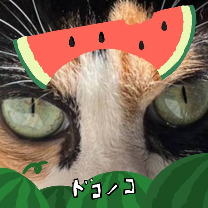 11a9953a b49f 4b58 b928 2b933a6d4b58 1720776119900