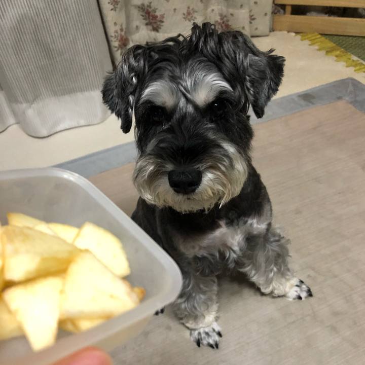 11a9a4d1 4f4a 4d31 bb3b acfa75532c1e 1661433703167