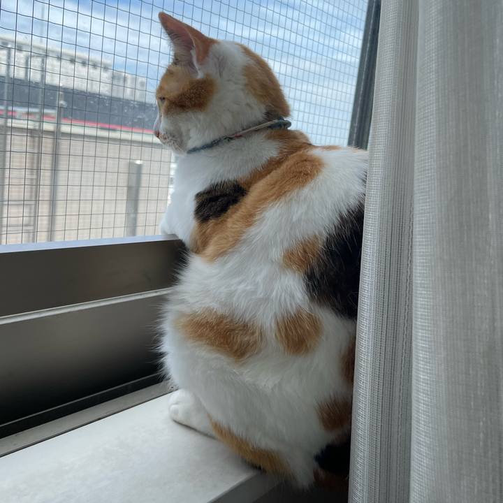 11a9d67a 03d0 4806 9be4 9a34d89177a6 1718505940642