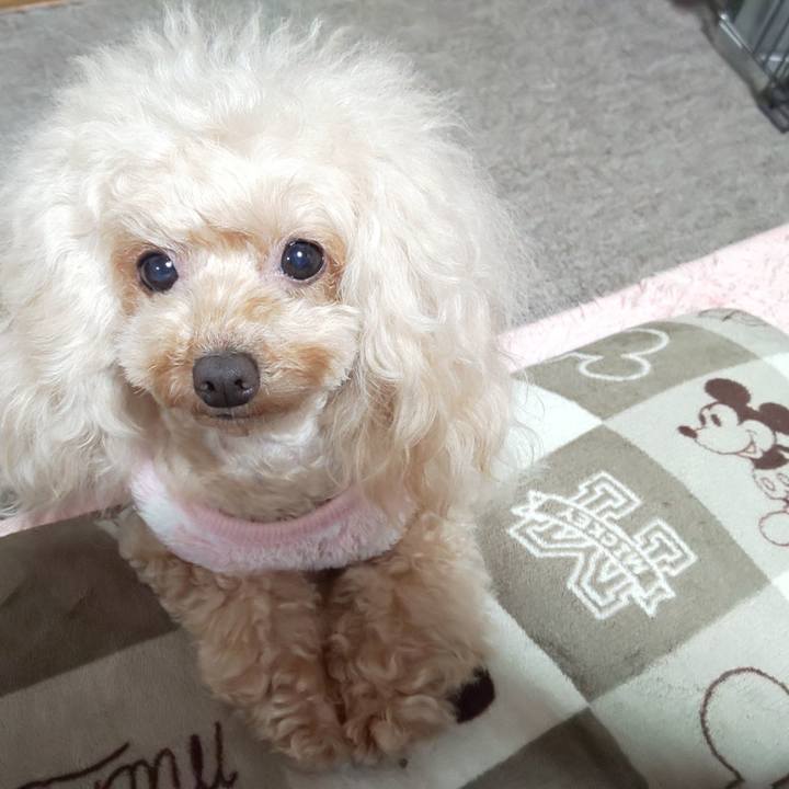 11a9d726 4ecd 4e59 b492 7e7c36f137ef 1580860436456