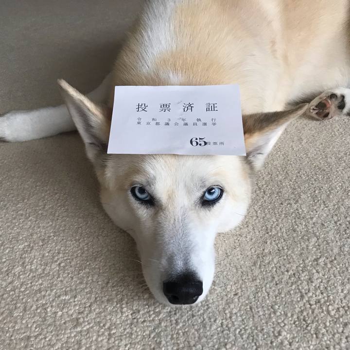 11aa6cb6 d9bd 4d1d 9123 185d28c34815 1625374128356