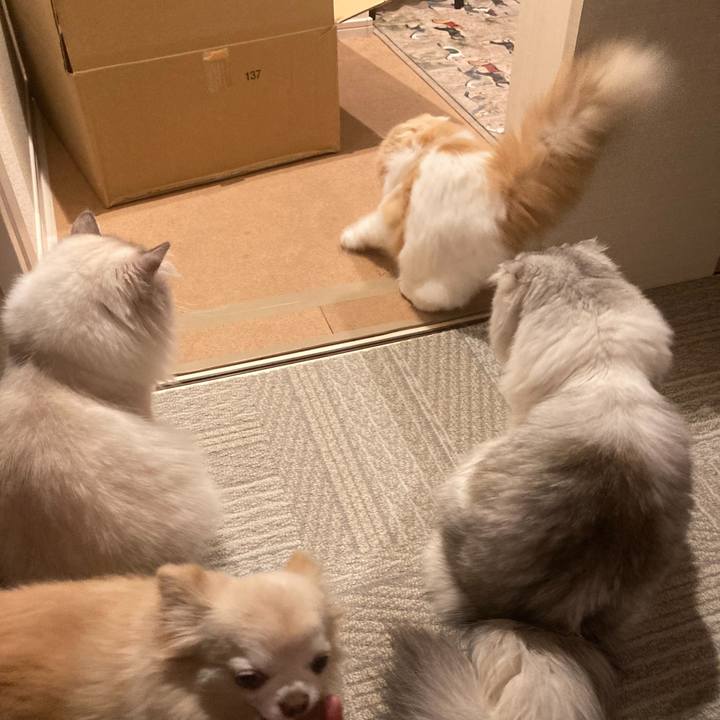 11aa70a2 c30e 47fe abd5 6f779ce4765e 1709619778660