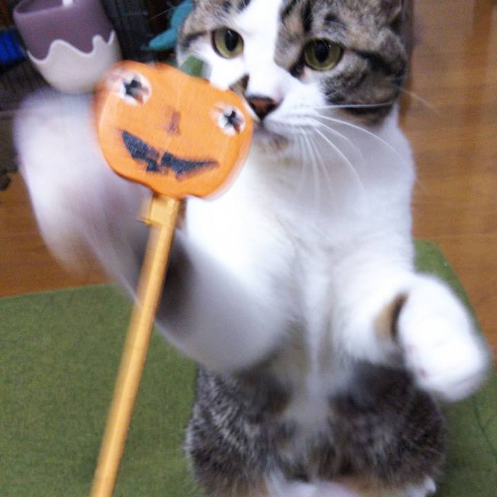 11aaa241 9658 4dc8 ac4d 99877f378c27 1635634914128