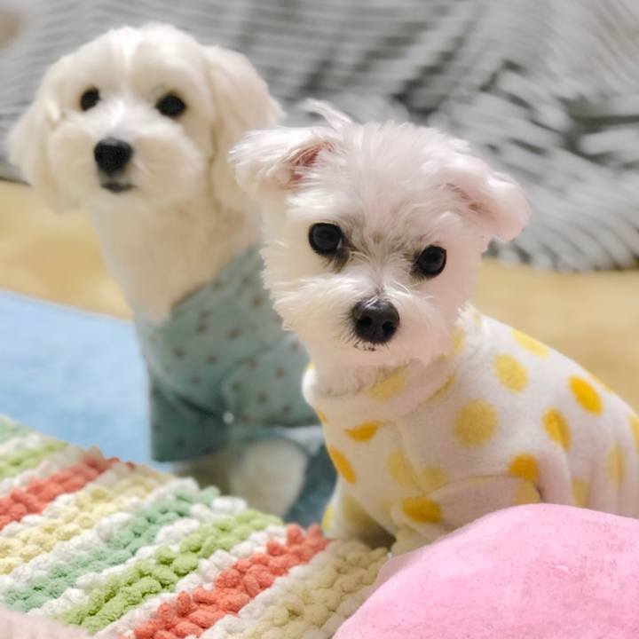 11aab416 019a 405e ad15 dd667956c8aa 1555181946869