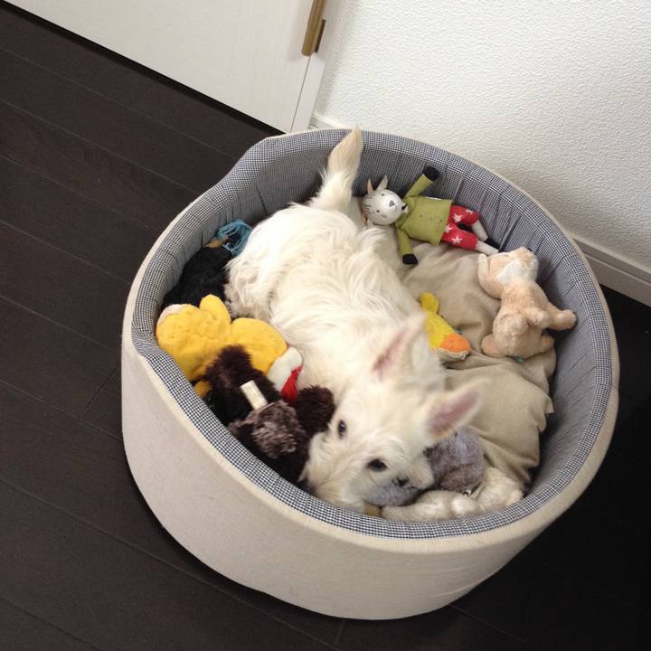 11aae8dc 3254 4877 ba74 3413cca164b1 1547959489651