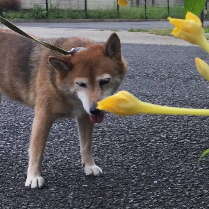 11ab0a20 4ab9 4da9 9cfd e66030b5e728 1629511937576