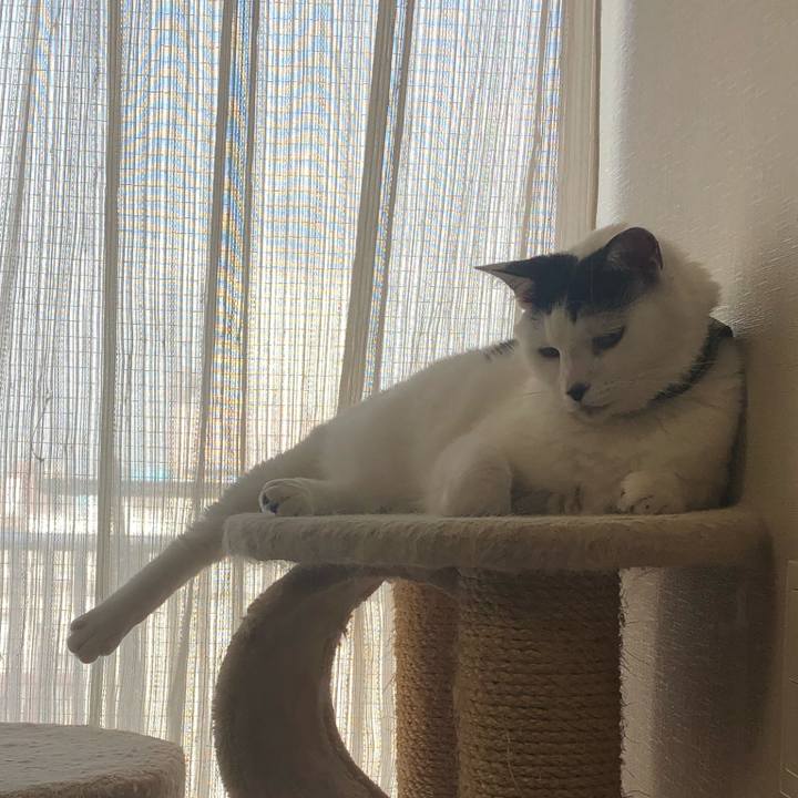 11ab10ef 2ee7 4d67 8d95 06166825881d 1568157995010