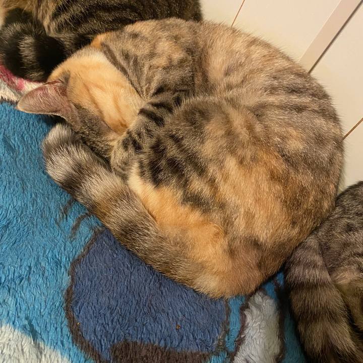 11ab4801 8d56 4007 8837 d17d0035f5c2 1582630176186