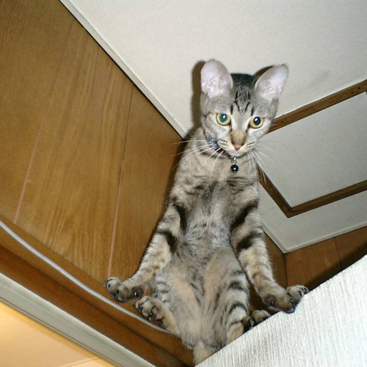 11ab58ba c9f6 4465 a7e6 a7510fc69732 1556167328600