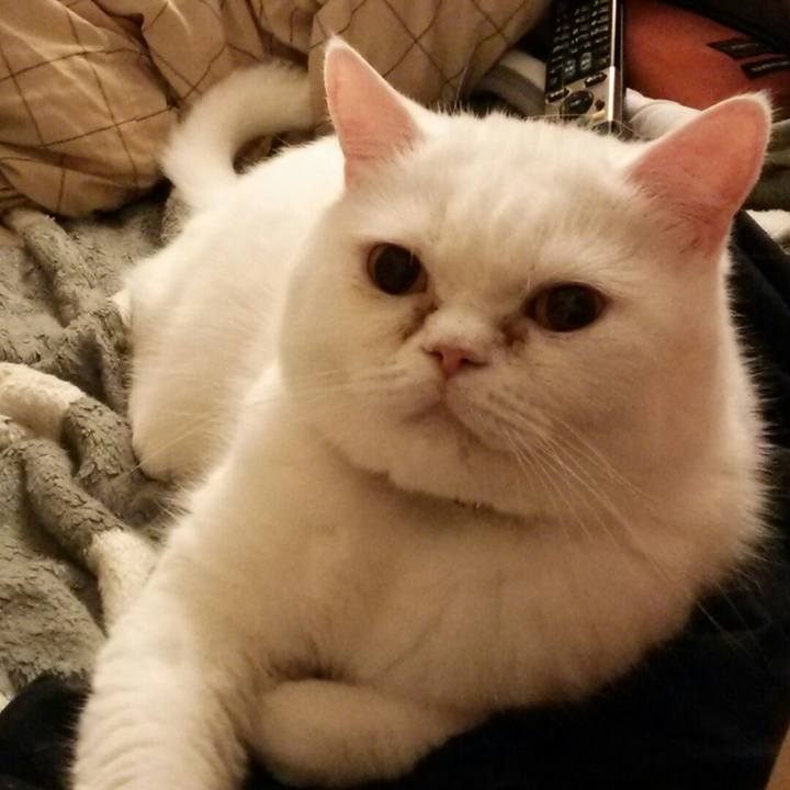 11ab8a49 5d75 4470 a928 97f31378dfac 1528548887522