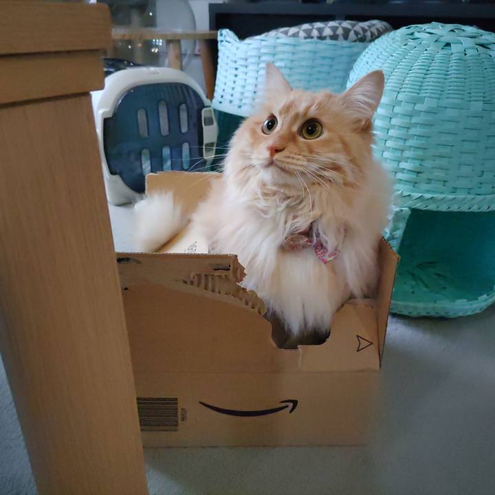 11aba79d 13b5 4a45 8eda b0755ca5e3a7 1684853050514