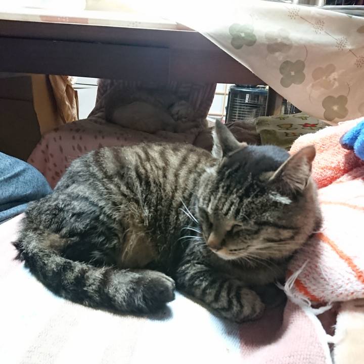 11abb4cc 3f81 48ca 84ff 62133bff6c5d 1653996116872