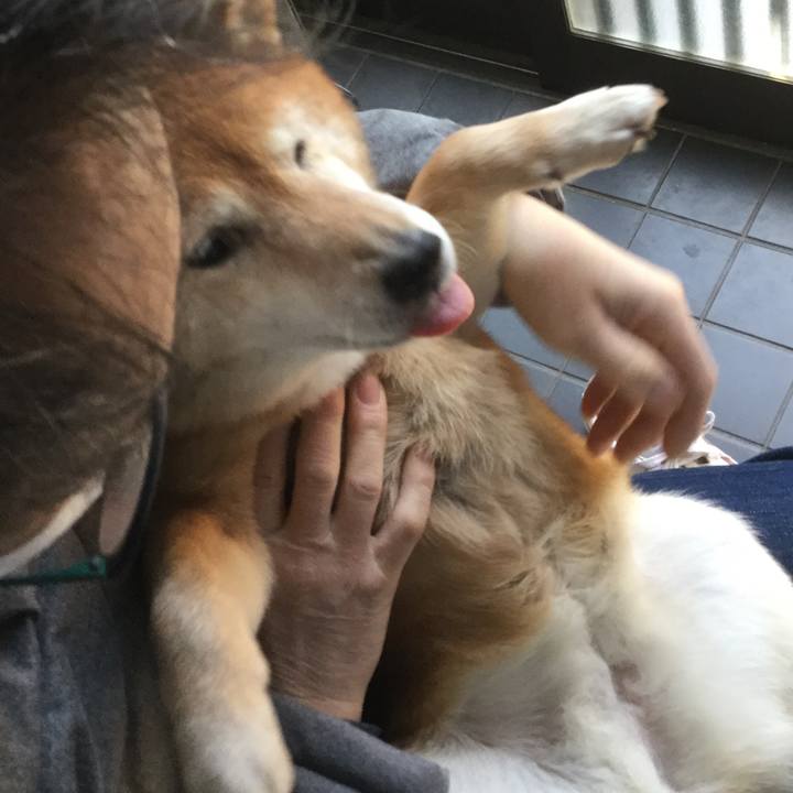 11abc4b8 a1cc 4294 9148 c8a07b93e6f0 1613283092635