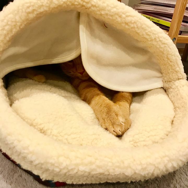 11abd9fa 9ea2 49d9 9a92 261fb383d6d8 1602597853540