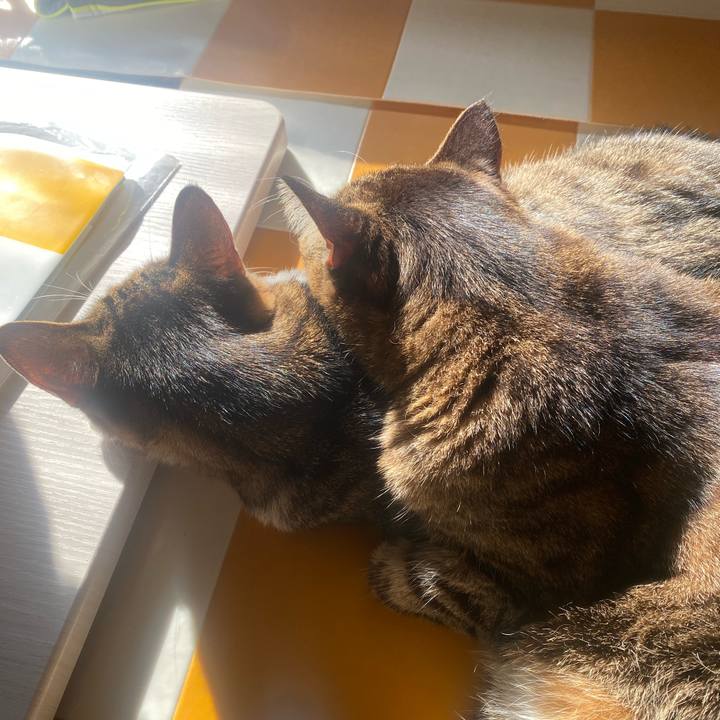 11abf366 076f 4f46 b8b9 cc3b5b444ed6 1730678183496