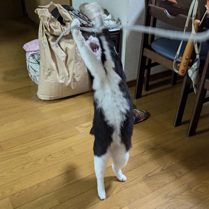 11ac2b65 9b74 4fd7 acf2 c3c57d992ca6 1728805062688