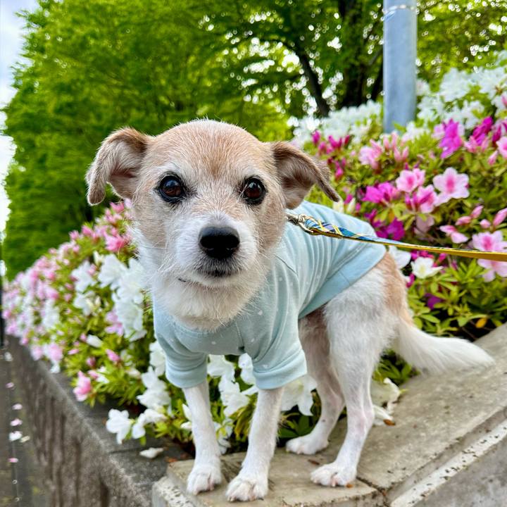 11ac36d0 ac2c 45ce aced fe0a4f5183c2 1714001416687