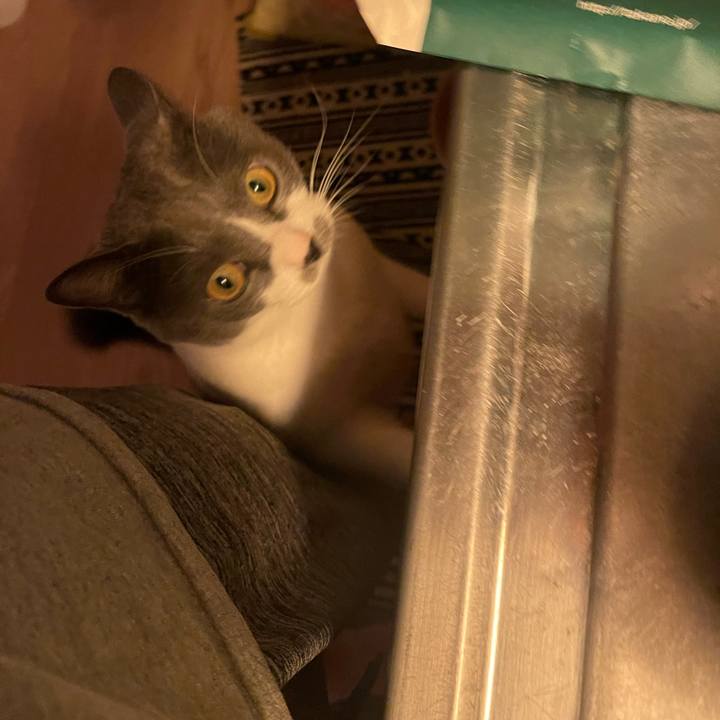 11acd994 2d6c 4f82 bc5e 8f11faef3f65 1696666937564