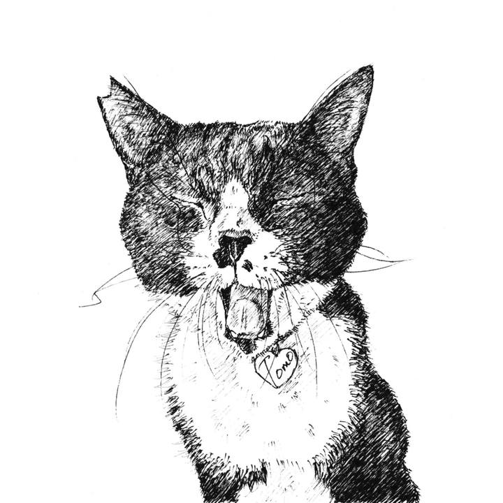 11acf1e7 16d7 41c7 ba11 08e9c2bcd52a 1617697207535