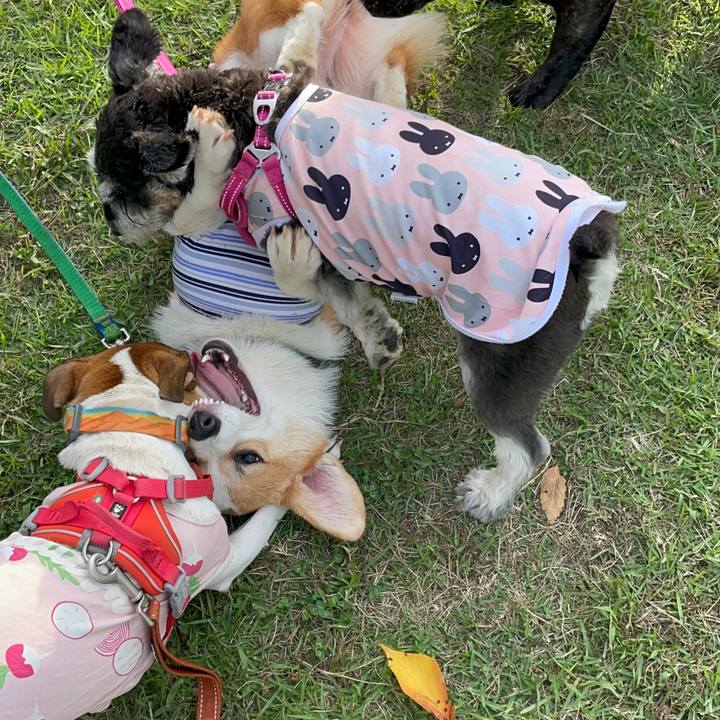 11acfece 3bd9 41bd 8707 ad73970be0d3 1696647309935