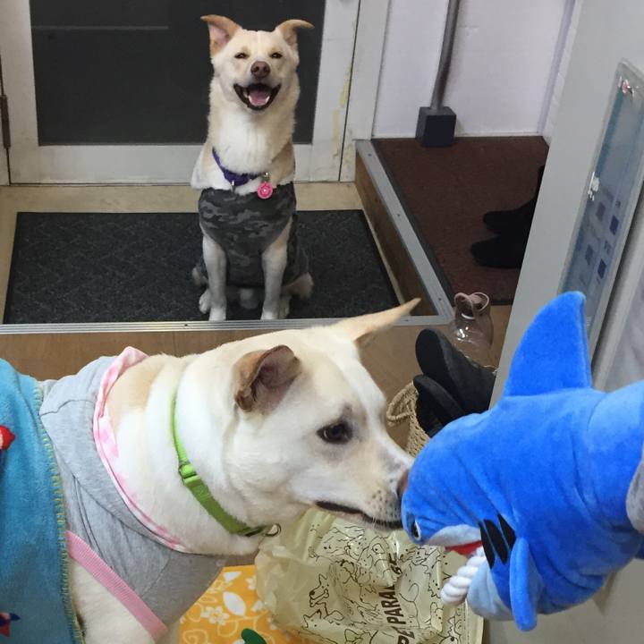 11ad13ff 9856 4509 a82c 4ade68306f72 1514167421286