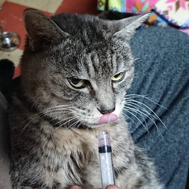 11ad5fa8 39bf 4542 b8f7 13502b968bf1 1577915021164