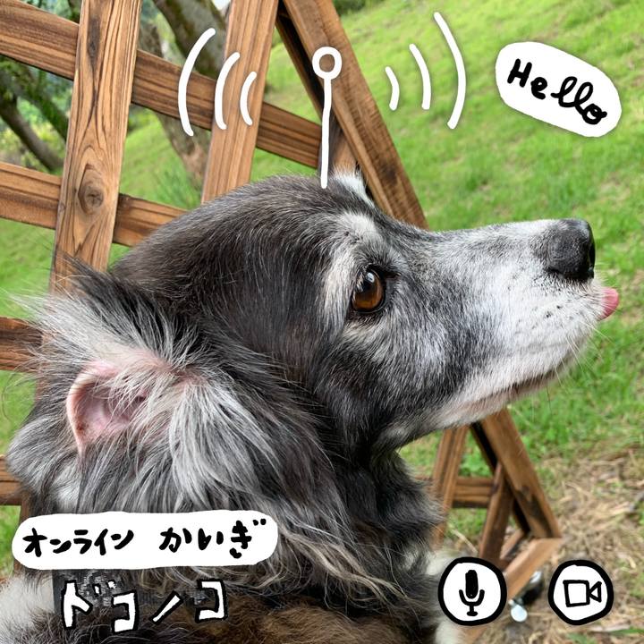 11ad7202 3958 4a90 b190 1e4b20796f75 1592888008105