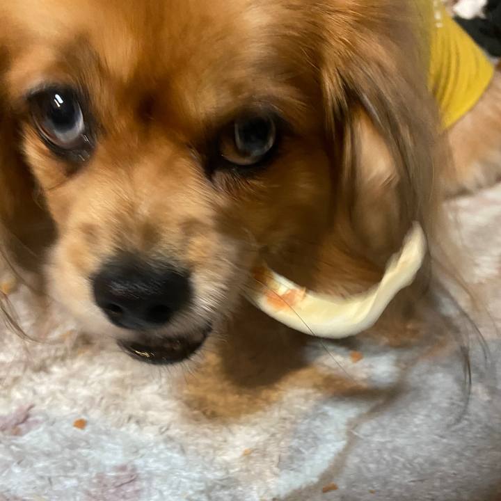 11ad86ed 1ef7 455c af0d 96e4ce235df9 1642456122190