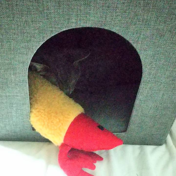 11ad9a31 e293 4d90 98b0 767fc1b4b29b 1684764032272