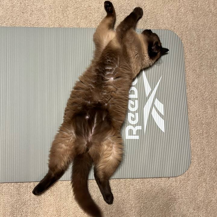 11adb603 488a 419d 8cce 2bb3081b81fd 1721655355826