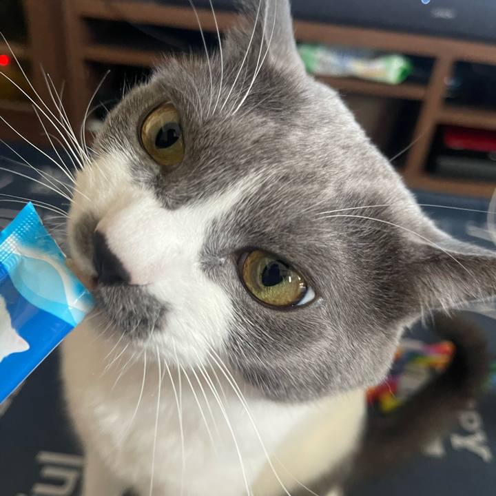 11adb637 bff2 417a 8749 4628451f335b 1694758716643